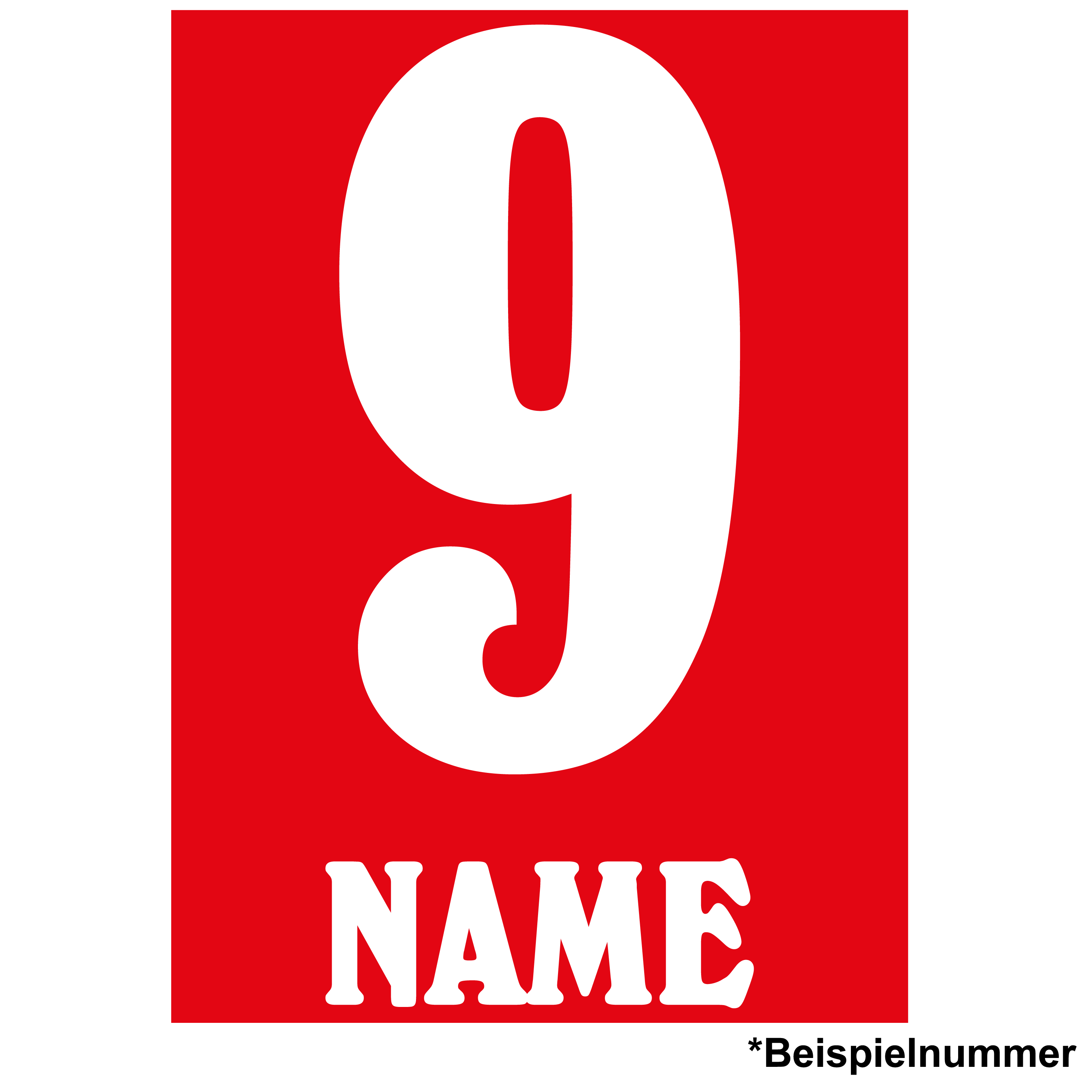 Druck für Holstein Trikot AWAY 2025/26 Druck für Holstein Trikot AWAY 2025/26