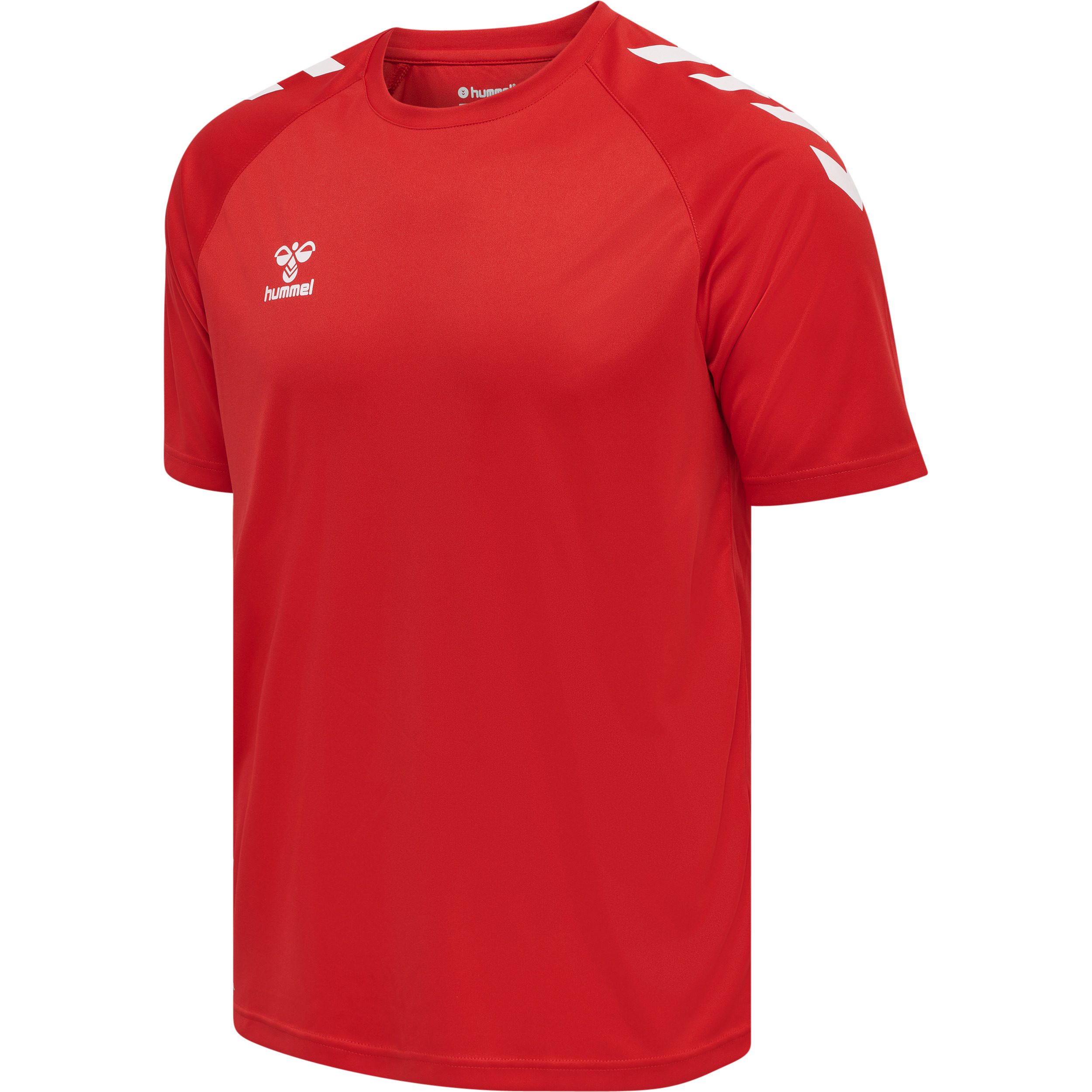 Bekleidung, Hemd, T-shirt, Bekleidung, Hemd, T-shirt