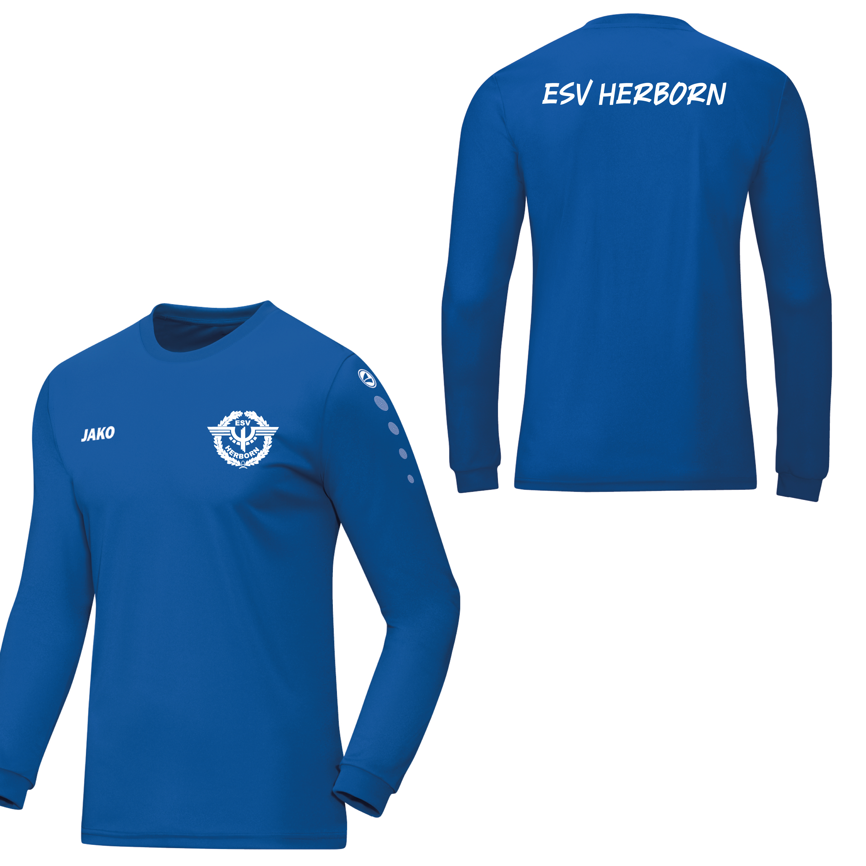 Trainingsshirt Langarm Team