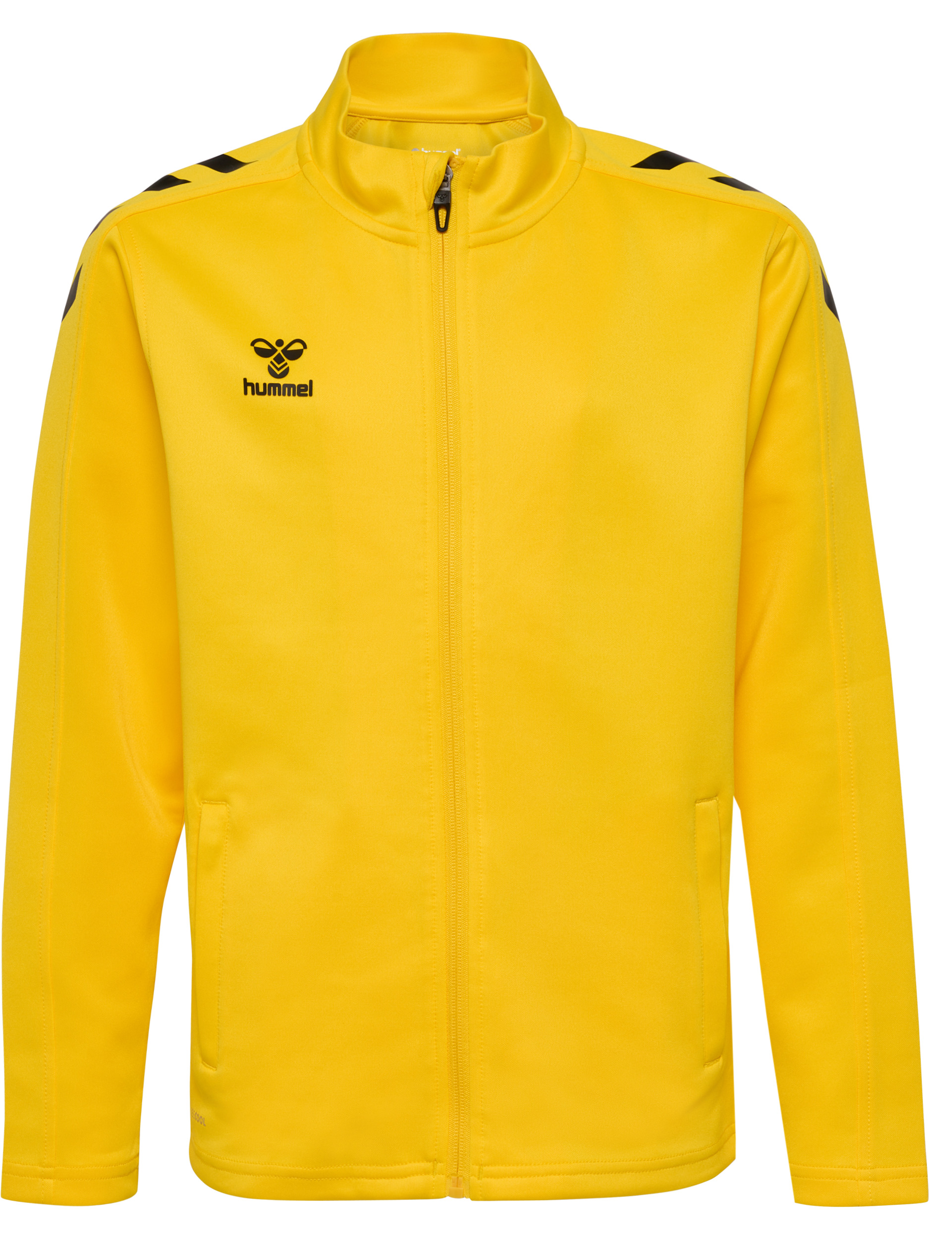 Bekleidung, Mantel, Jacke, Kapuzenpulli, Sweatshirt