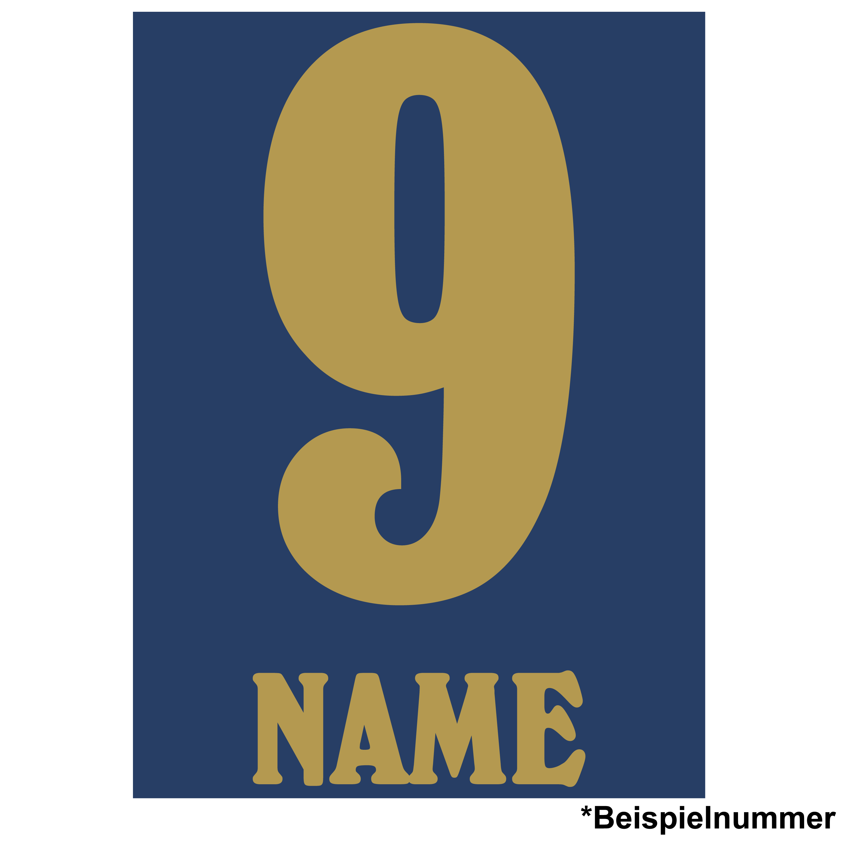 Druck für Holstein Trikot Home 2025/26 Druck für Holstein Trikot Home 2025/26